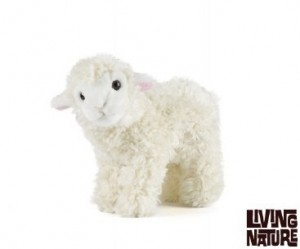 mouton
