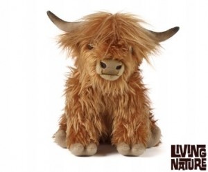 vache-highland2