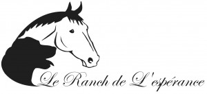 logo3